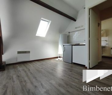 Appartement à louer, 1 pièce - Olivet 45160 - Photo 2