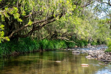 212B Stewart Road, Guanaba, QLD 4210 - Photo 2