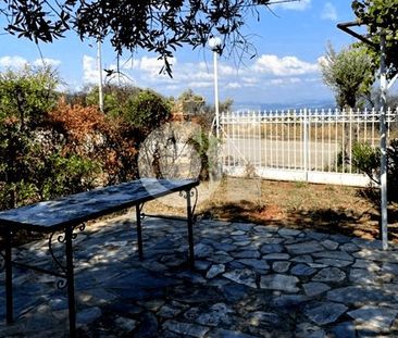Μονοκατοικία για ενοικίαση Μαλεσίνα - Φωτογραφία 3