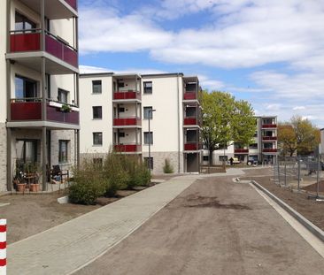 Erstbezug! Schicke 3-Zimmer-Neubauwohnung mit Balkon // 1.OG links ... - Photo 5