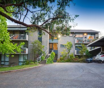 10/634 Loma Place, Albury NSW 2640 - Apartment For Rent | Domain - Photo 4