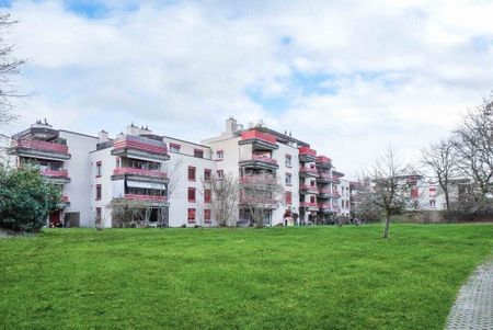 sunny residential neighborhood in a child-friendly environment - Photo 4