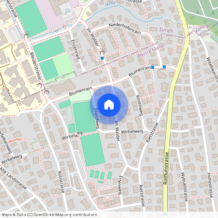 Im Walder 28, 8702, Zollikon