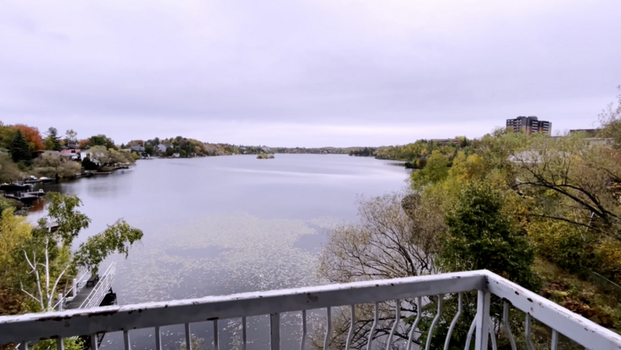 apartments at 1904 Paris Street - Photo 1