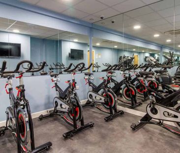 Classic Studio - Photo 6