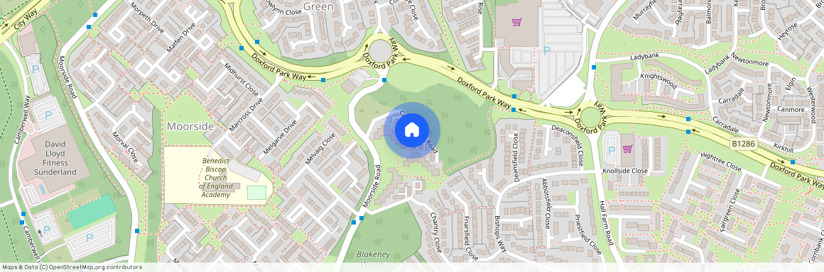 Lofthill, Sunderland, Tyne and Wear, SR3