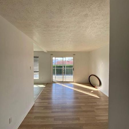 GRAND ET LUMINEUX 4.5 DISPONIBLE 1ER MARS!!! - Photo 4