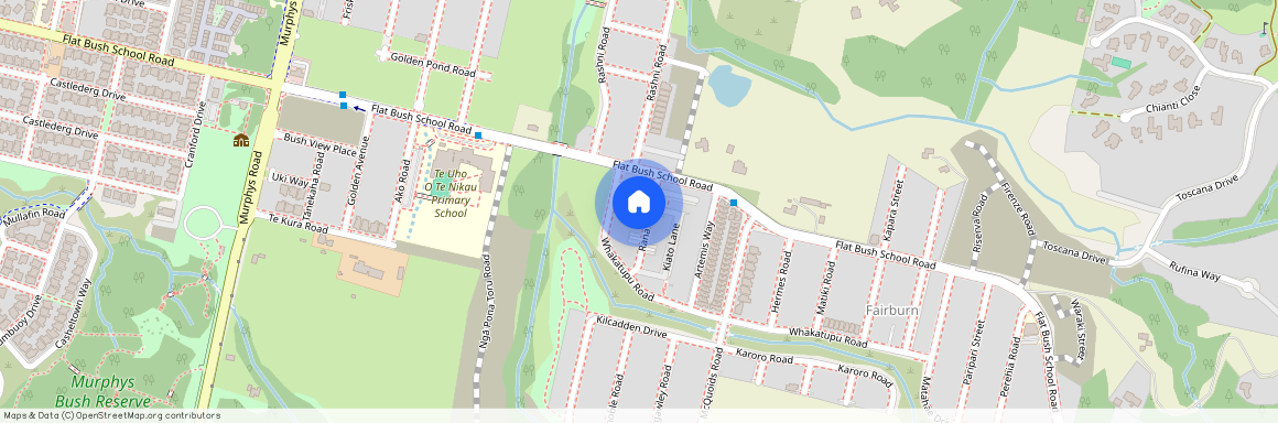 19 Rana Road, Flat Bush, Auckland