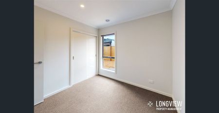 Living The Lifestyle - Photo 4