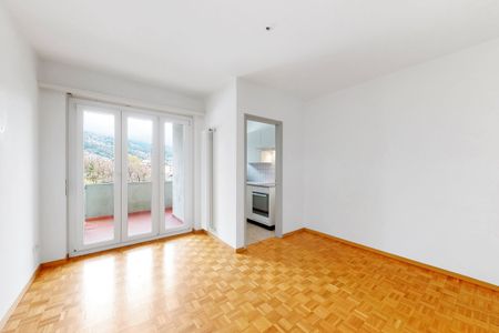 Luminoso 2.5 locali in zona centrale e tranquilla - Foto 3