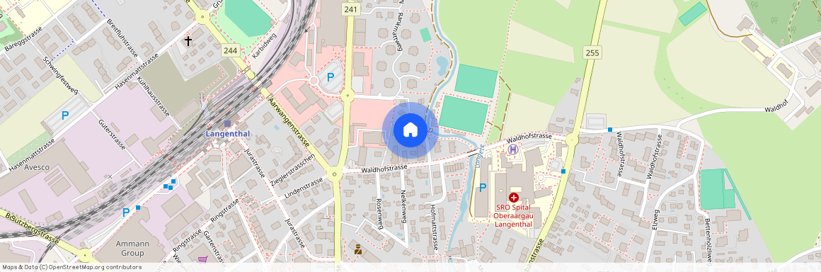 Waldhofstrasse 9b, 4900, Langenthal