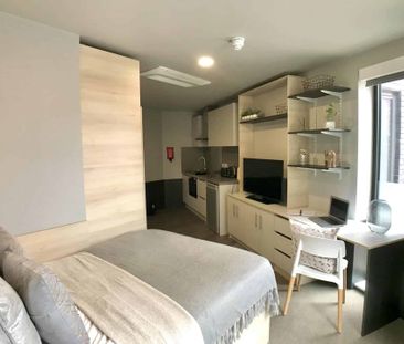 Luxury Studio - Photo 4