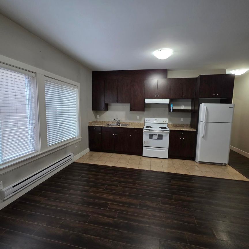 Centrally Located, Spacious Two Bedroom/One Bathroom Suite - Photo 1