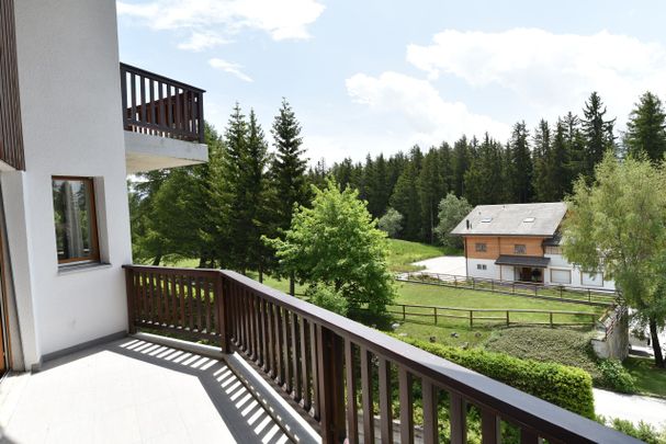 4.5 room apartment for rent - Photo 1