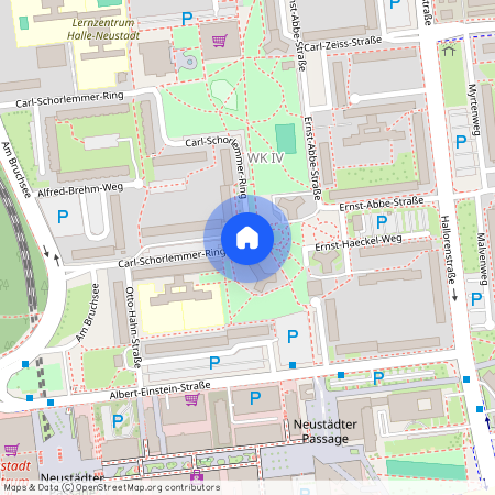 Carl-Schorlemmer-Ring 26, 06122 Sachsen-Anhalt - Halle