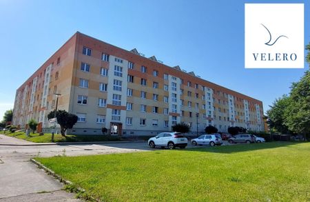 NEU! Renovierte 4 Raumwohnung ab 01.09.2024 wartet auf Sie! - Foto 5