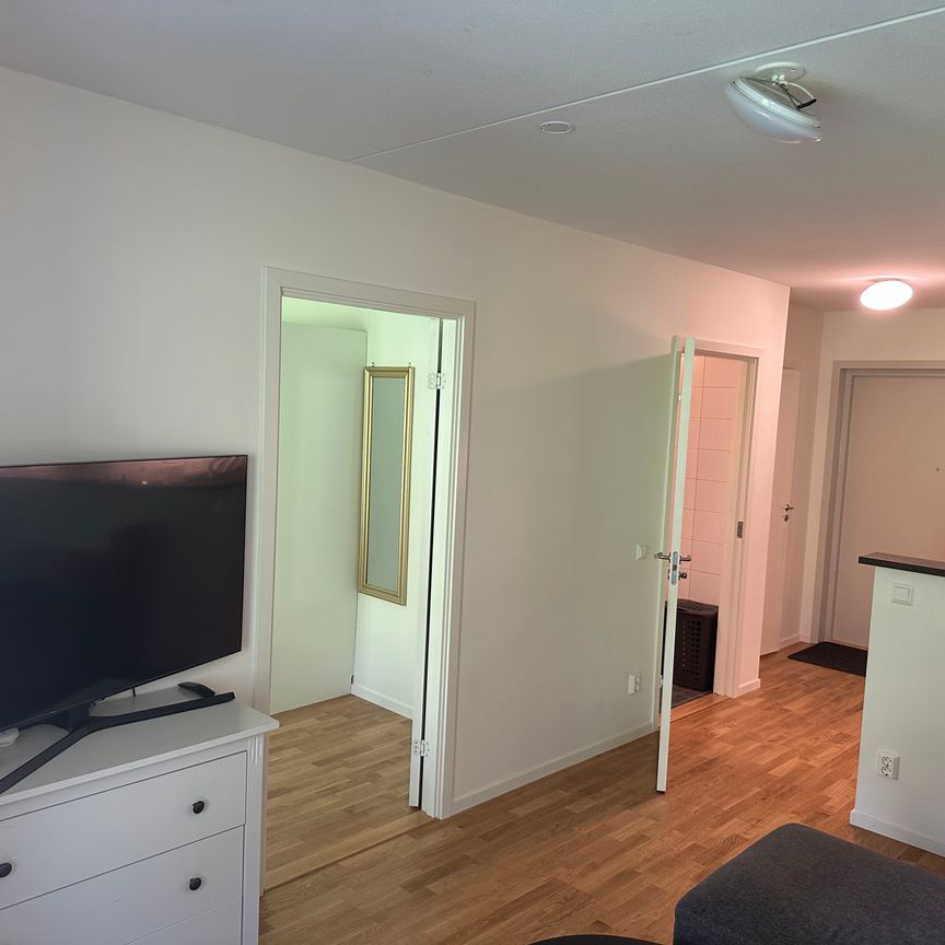 Gaffelseglet, Vega - Photo 1