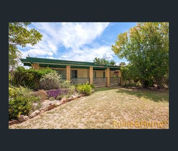 So Close to Everything - Photo 1