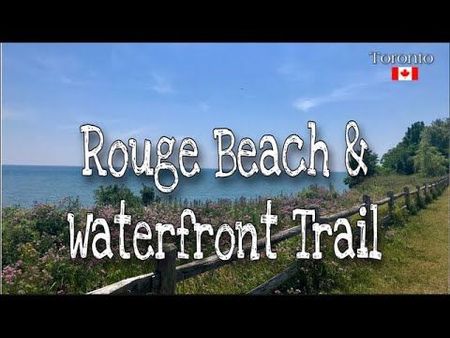 For Lease - 7439 Kingston Road Unit# 1010, Toronto, Ontario - Photo 5