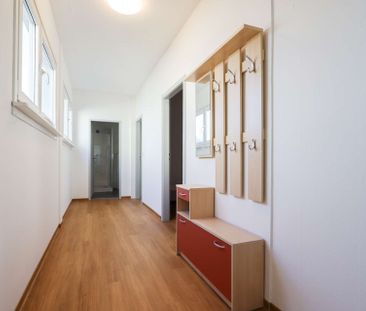 Neu saniert und bezugsfrei! Voll möbliertes 3-Raum-Appartment mit E... - Foto 5