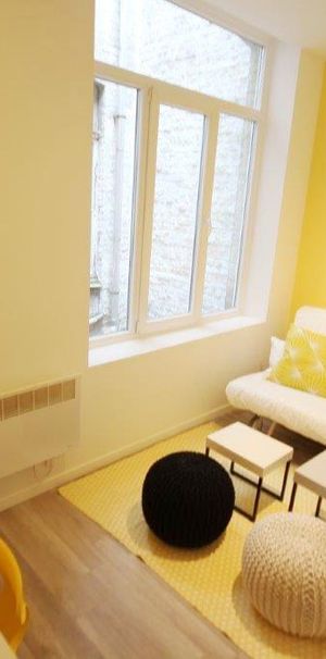 Studio de 14.53 m² avec meubles à disposition, rue de Ratisbonne – Solférino réf 5832 - Photo 1