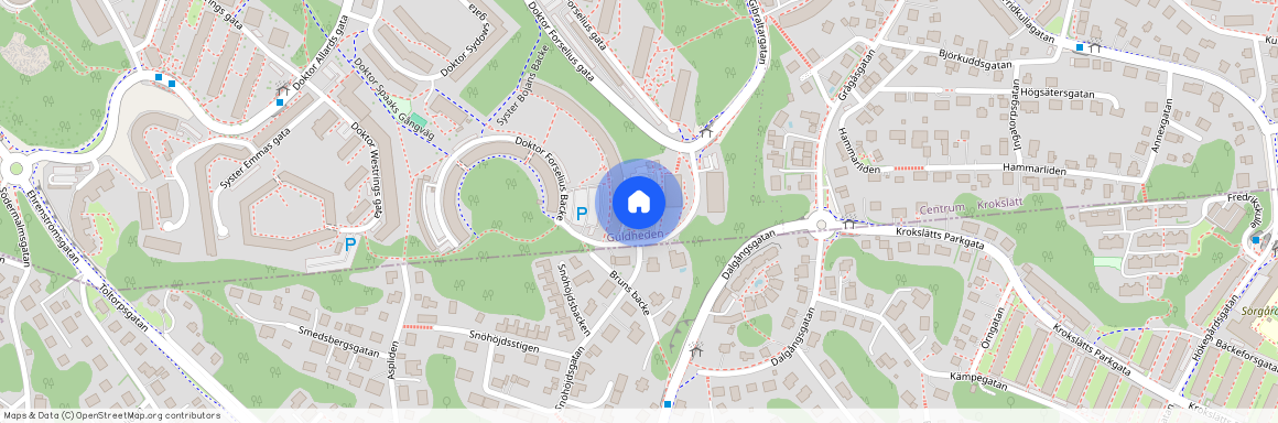 Doktor Dahlströms Gata, Göteborg