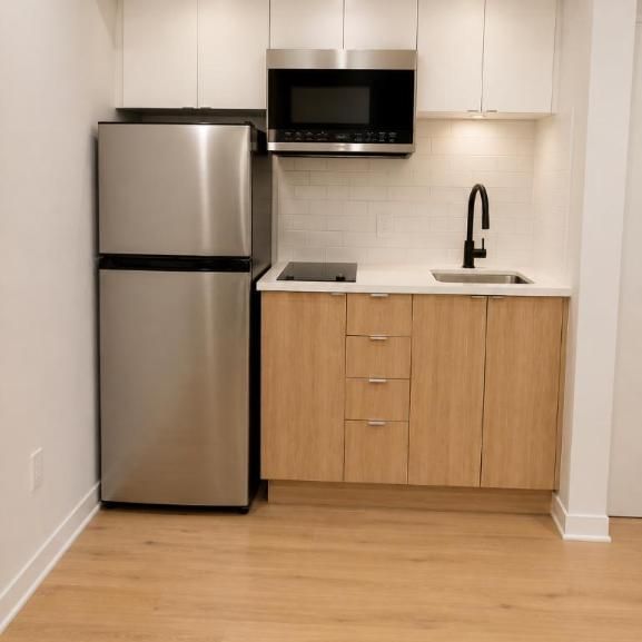 1 CH - 1 SDB - Montréal - $1,195 /mo - Photo 1