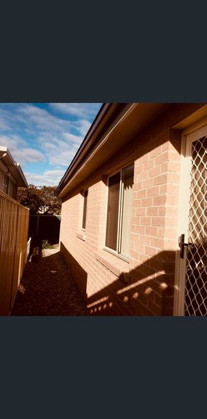 Newly built Granny Flat with new Equipment -Rent $600 per week-Immediately available - Photo 1