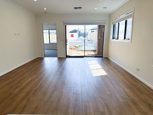 BRAND NEW 4 Bedroom Home with SOLAR PANELS! - Photo 1