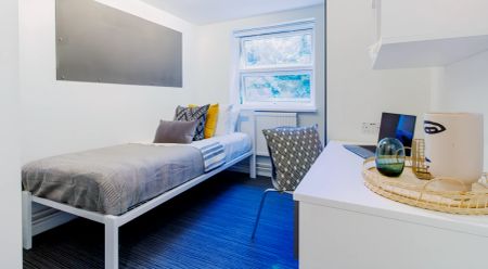 Bronze Room - Photo 2