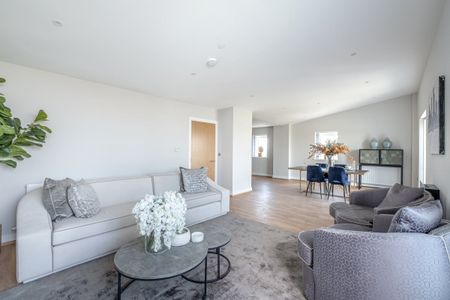 3 bedroom penthouse to rent - Photo 4