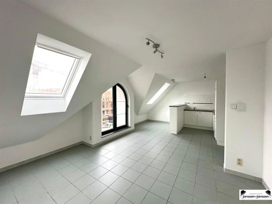 Ruim 1-slaapkamer appartement te huur in centrum Wuustwezel - Photo 1