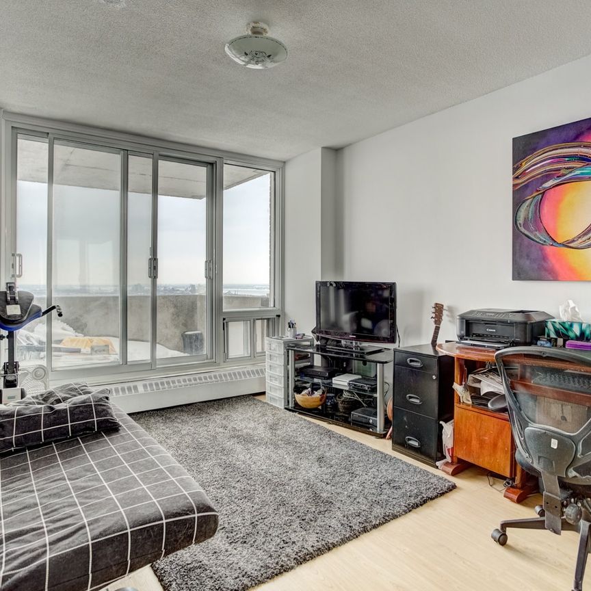 Condo for rent, Montréal (Le Plateau-Mont-Royal) - Photo 1