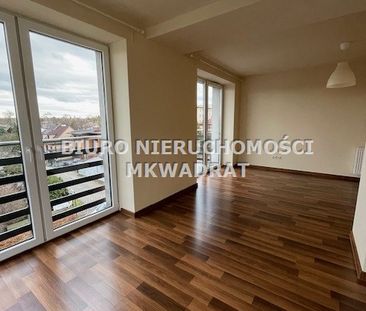 Rybnik, Śródmieście - Zdjęcie 5