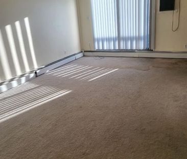 Brookhurst – Bachelor - Photo 2