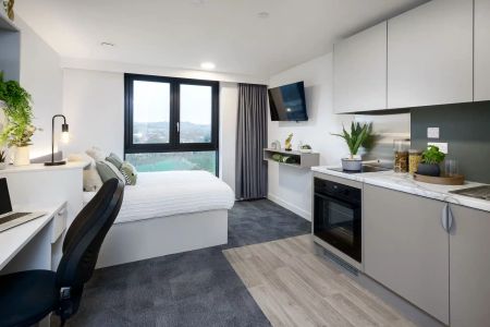 True Sky Studio Plus - Photo 5