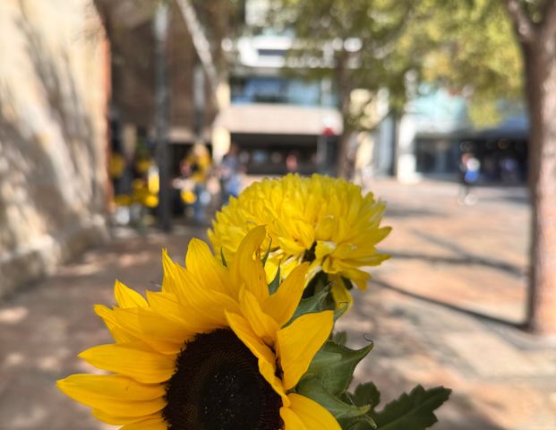 Victoria Park - Photo 1