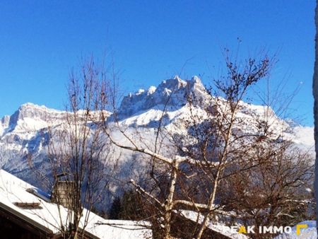 T2 – Coteau de Sallanches - Photo 3