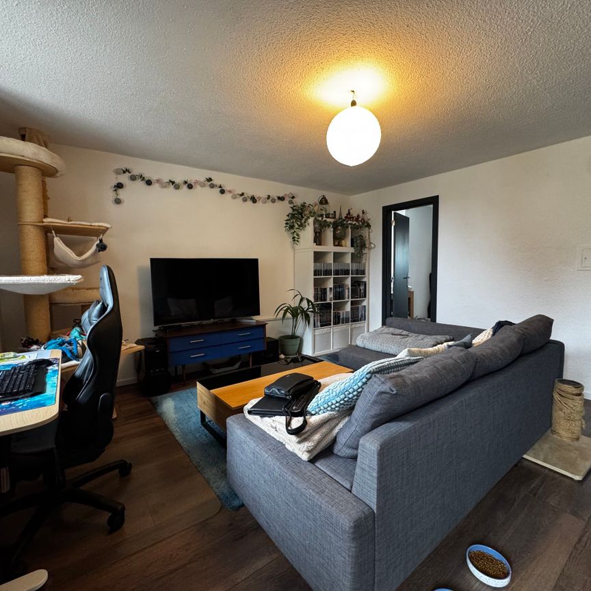 Nice 2.5 room apartment with terrace - Photo 1