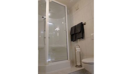 1 Zimmer-Wohnung in Obergösgen (SO), möbliert - Photo 5