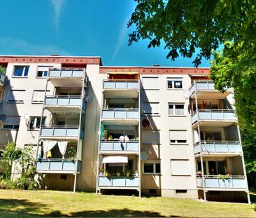 Demnächst frei! 2-Zimmer-Wohnung in Frankenthal (Pfalz) - Photo 1