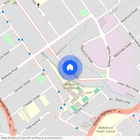 Granny Flat/218 west street, NSW 2221, Blakehurst