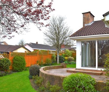 Jury Park, South Molton, Devon, EX36 - Photo 6