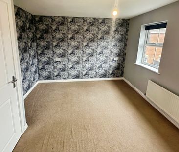 Brutus Court - Photo 4