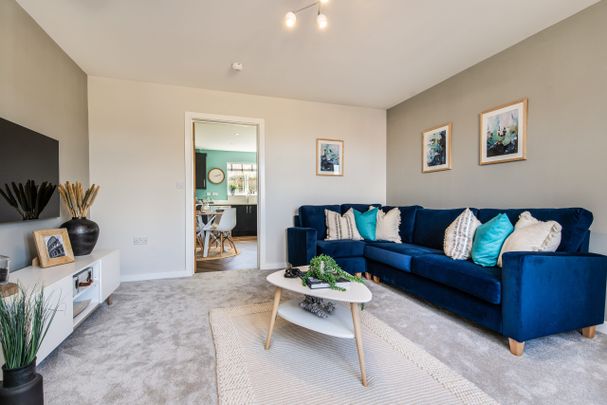 The Darwin - Photo 1