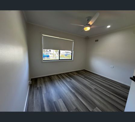 17 Southdown St, Miller, NSW 2168 - Photo 1