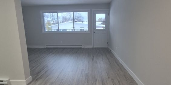 2 Chambres – 1er Novembre – Gatineau Cen - Photo 3