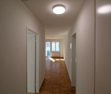 2 Zimmer, 51 m², EG - Photo 6