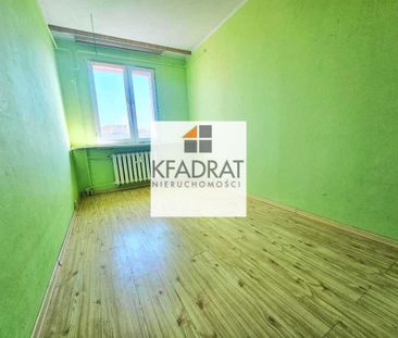 3. pokoje w centrum Polic na wynajem od zaraz! - Photo 6