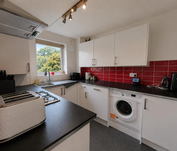 Starina Gardens, Waterlooville - Photo 4